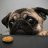 British_Mops