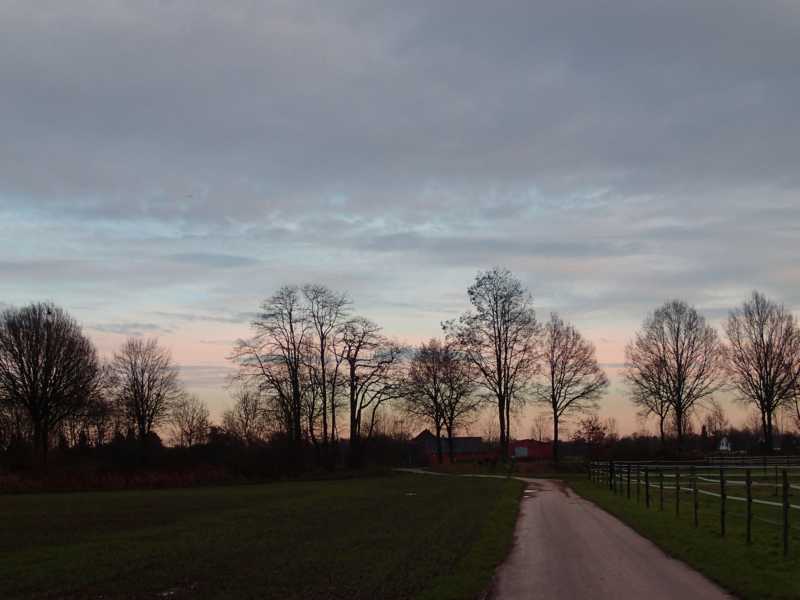 www.hobby-gartenteich.de